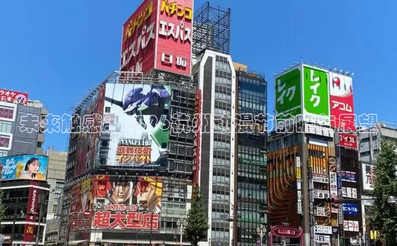 门徒娱乐官方平台入口